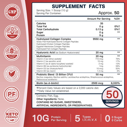 DRFOSTER Multi Collagen Peptide Powder with Probiotics, 50 Servings | Hydrolyzed Collagen Peptides with Hyaluronic Acid, Biotin & Multivitamins, Supports Skin Hair Nail & Gut