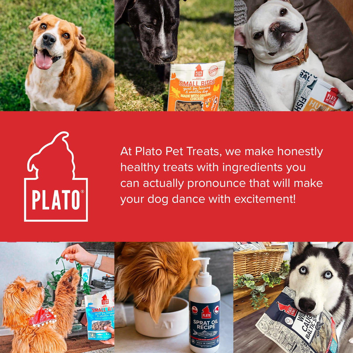 Plato Meat Sticks Salmon Dog Treats, Air-Dried High-Protein Soft Chews with Omega Fish Oil (EPA & DHA), 10 oz