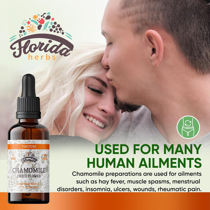 Chamomile Tincture, Organic Chamomile Extract (Matricaria Recutita) Dried Flowers, Non GMO Gluten Free in Cold-Pressed Organic Vegetable Glycerine 670 mg 2 Oz (60 ml)