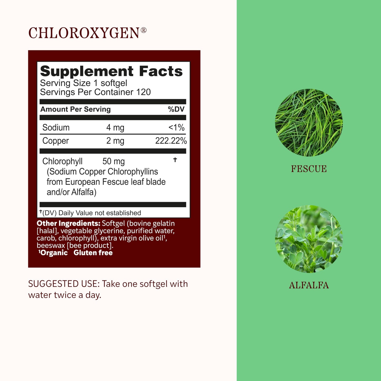 Herbs Etc. ChlorOxygen Chlorophyll Concentrate Softgels - High-Potency Chlorophyll for Detoxification Support - Deodorizing - Skin, Gut