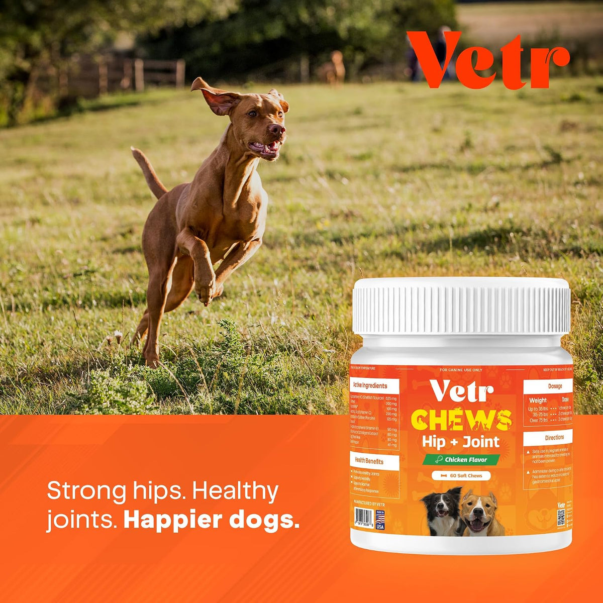 Vetr Hip and Joint Chicken Flavored Chews for Dogs - Glucosamine Chondroitin MSM Supplement - 60 Chewable Tablets - Vet-Formulated in USA