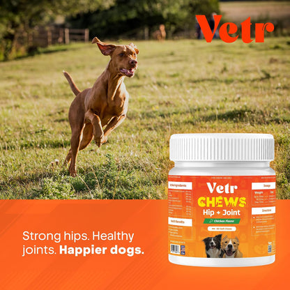 Vetr Hip and Joint Chicken Flavored Chews for Dogs - Glucosamine Chondroitin MSM Supplement - 120 Chewable Tablets - Vet-Formulated in USA
