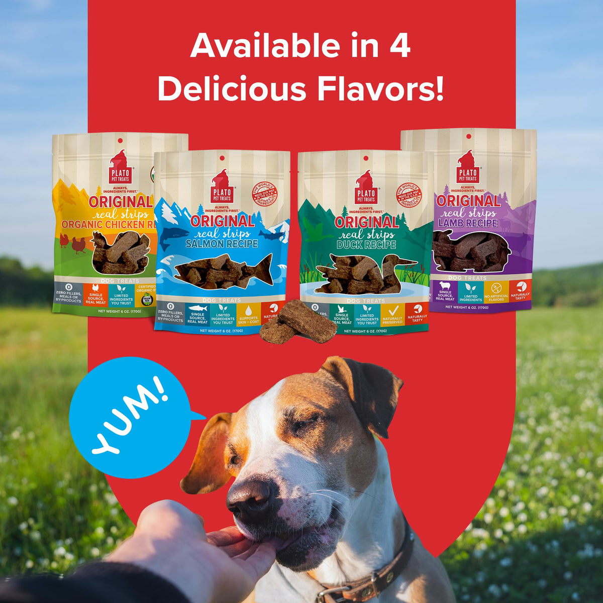 Plato Real Strips Salmon Recipe Dog Treats, Air-Dried High-Protein Soft Strips, Omega-Rich Skin & Coat Support, 18 oz