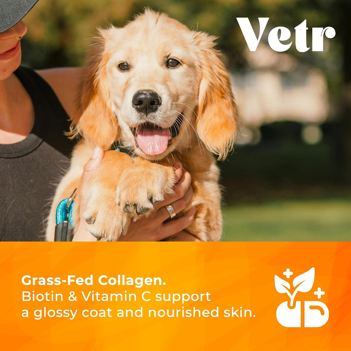 Vetr Skin & Coat Collagen for Dogs - Bacon Flavored Liquid Supplement - Supports Healthy Skin & Shiny Coat - 4 oz (120mL) - Vet-Formulated in USA