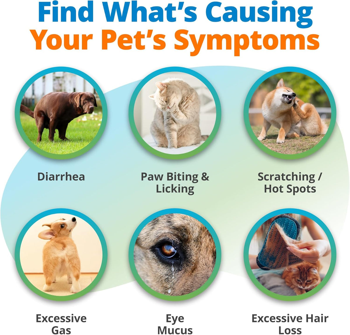 5Strands Raw & Fresh Pet Food Intolerance Test, 400 Items Tested