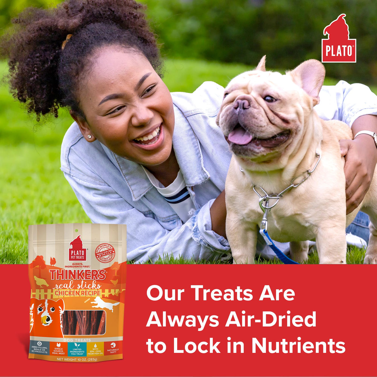 Plato Meat Sticks Salmon Dog Treats, Air-Dried High-Protein Soft Chews with Omega Fish Oil (EPA & DHA), 10 oz