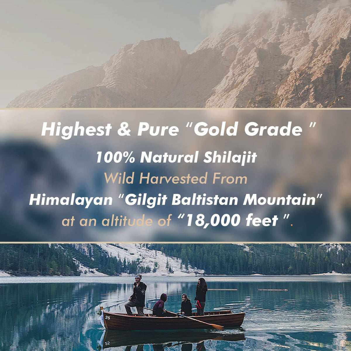 Hima Shilajatu Shilajit Purest Himalayan Organic Shilajit Resin - Gold Grade 100% Purity Shilajit with Fulvic Acid & 85+ Trace Minerals Complex for Energy & Immune Support, 30 Grams (2 Months Supply)