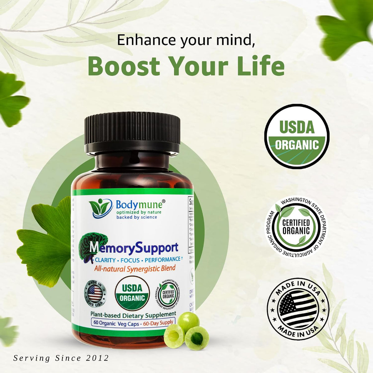 Bodymune MemorySupport Brain Health Formula | Supports Mental Clarity, Recall & Concentration* | USDA Organic Nootropic Blend with Ginkgo Biloba & Ashwagandha | 60 Vegan Caps | Made in USA