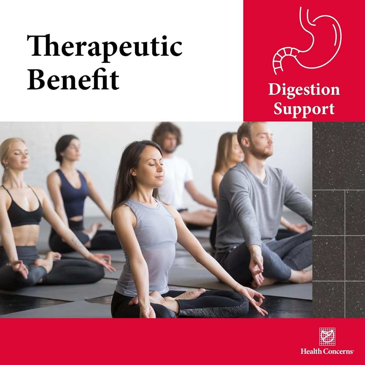 Health Concerns Six Gentlemen – Digestive Health & Qi Support Supplement – Licorice Root, Ginger & Codonopsis Formula – Bloating, Gas, Nausea – 90 Capsules – Chinese Herbal Medicine