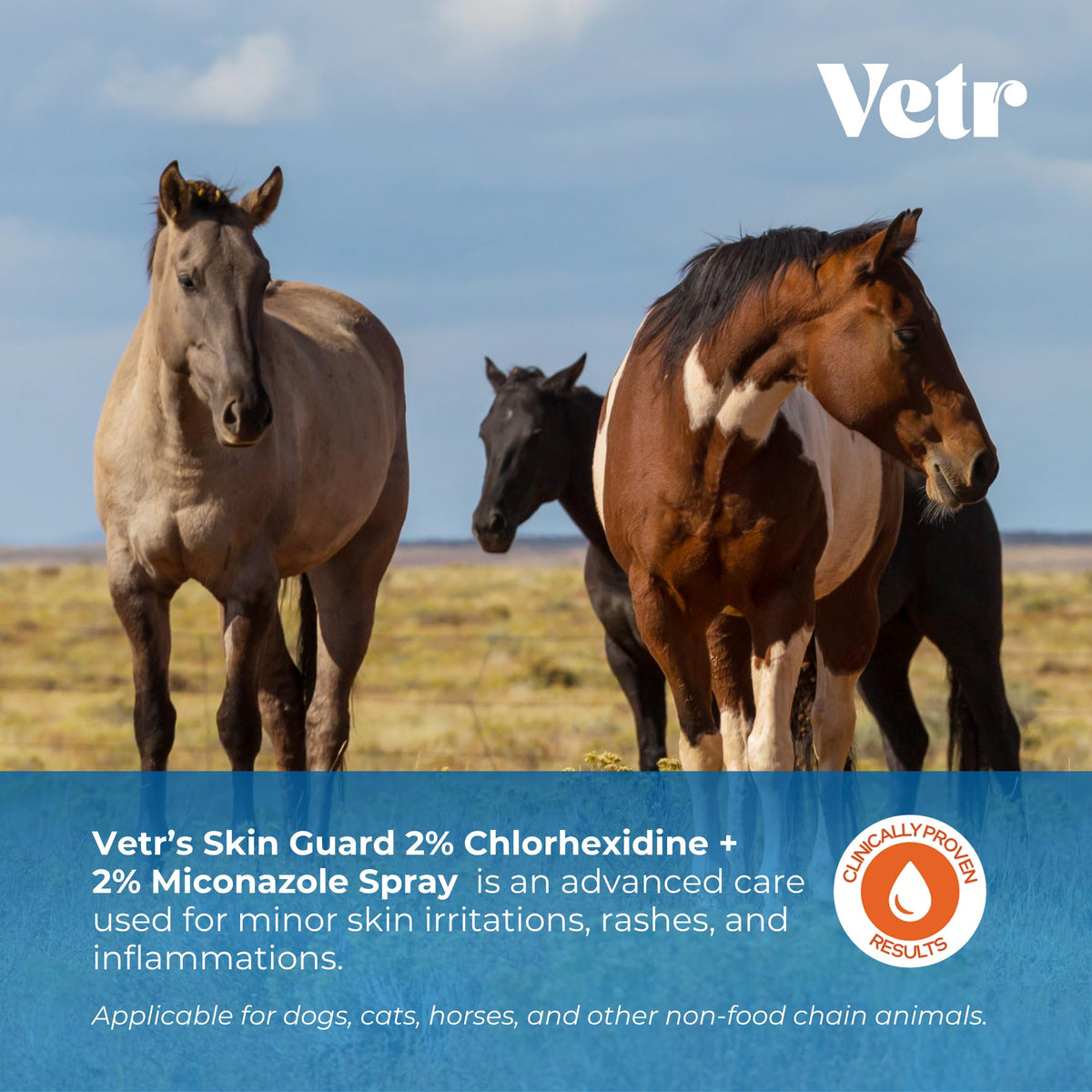 vetr Skin Relief Hydrocortisone Spray for Dogs - Topical Support for Itchy Skin and Hot Spots - 4 oz (120mL) - Vet-Formulated in USA