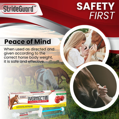Horse Ivermectin Paste 1.87% – Apple Flavored Oral Horse Dewormer Syringe – 6.08g Tube Treats Horses Up to 1250 LB [Pack-5]