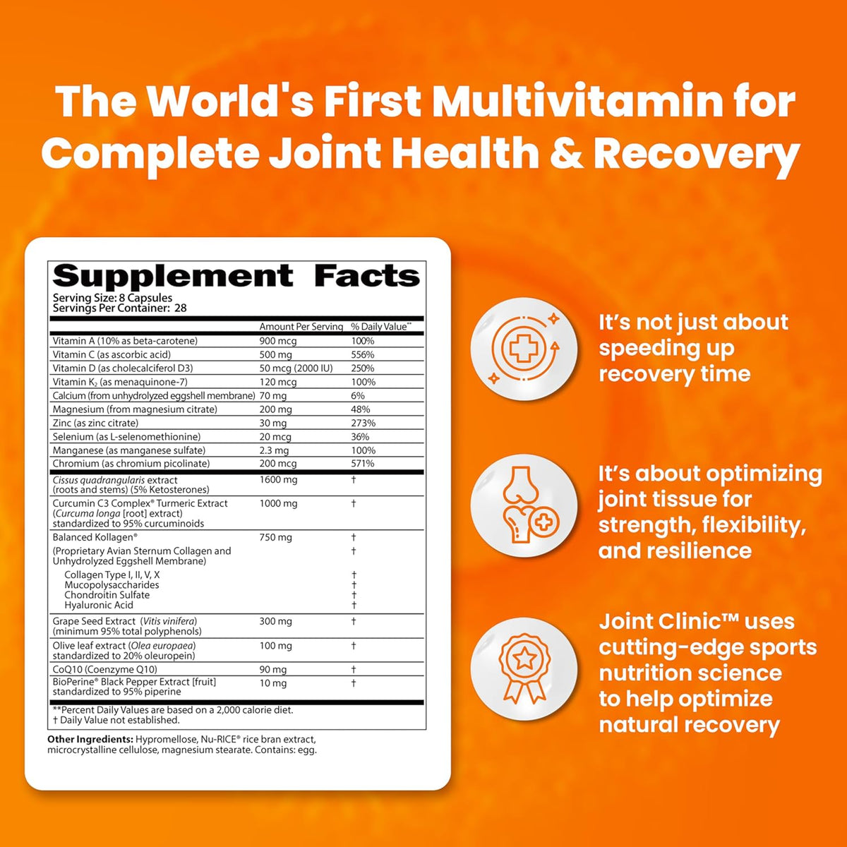 SaltWrap Joint Recovery Bundle: Collagen Synthesis & Clinic Multivitamin | Made in USA, NSF Certified for Sport, Pairs Fortigel and Tendoforte Peptides with Turmeric, Cissus and Hyaluronic Acid