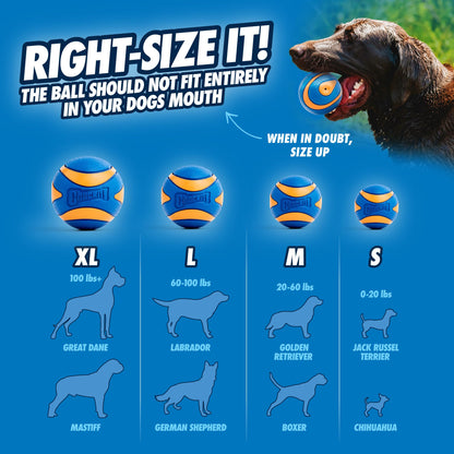 Chuckit! Ultra Ball Dog Toy, Durable Rubber, Medium 2.5-in, 2 Pack | Made from Durable Rubber with an Extra-Thick Core, This Bouncy Fetch Ball Floats in Water for Lasting Games of Fetch