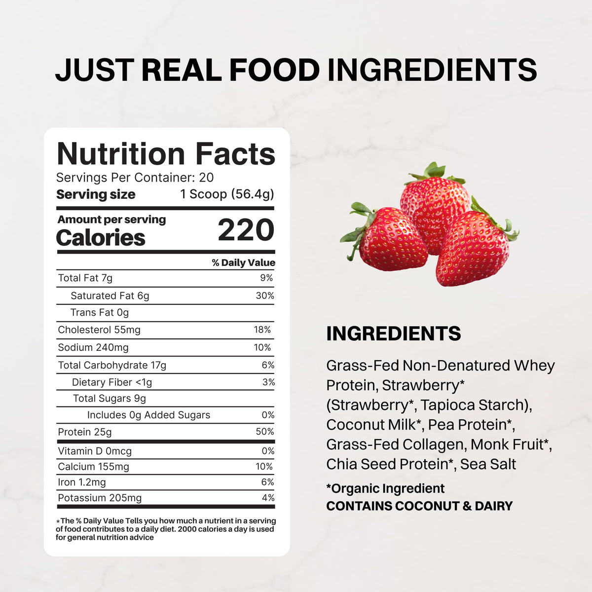 JUST INGREDIENTS Vanilla Bean Protein Powder – 20-Serving Blend with 100% Grass-Fed Whey & Organic Plant Proteins – Real Vanilla Bean & Cinnamon – Supports Muscle Recovery, Energy*