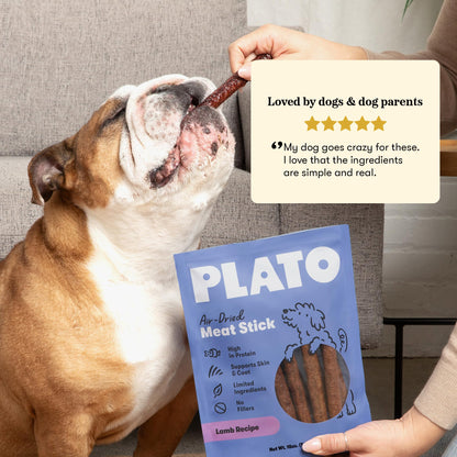 Plato Meat Sticks Salmon Dog Treats, Air-Dried High-Protein Soft Chews with Omega Fish Oil (EPA & DHA), 10 oz