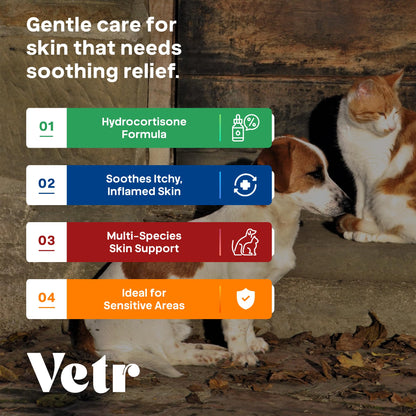 vetr Skin Relief Hydrocortisone Spray for Dogs - Topical Support for Itchy Skin and Hot Spots - 4 oz (120mL) - Vet-Formulated in USA
