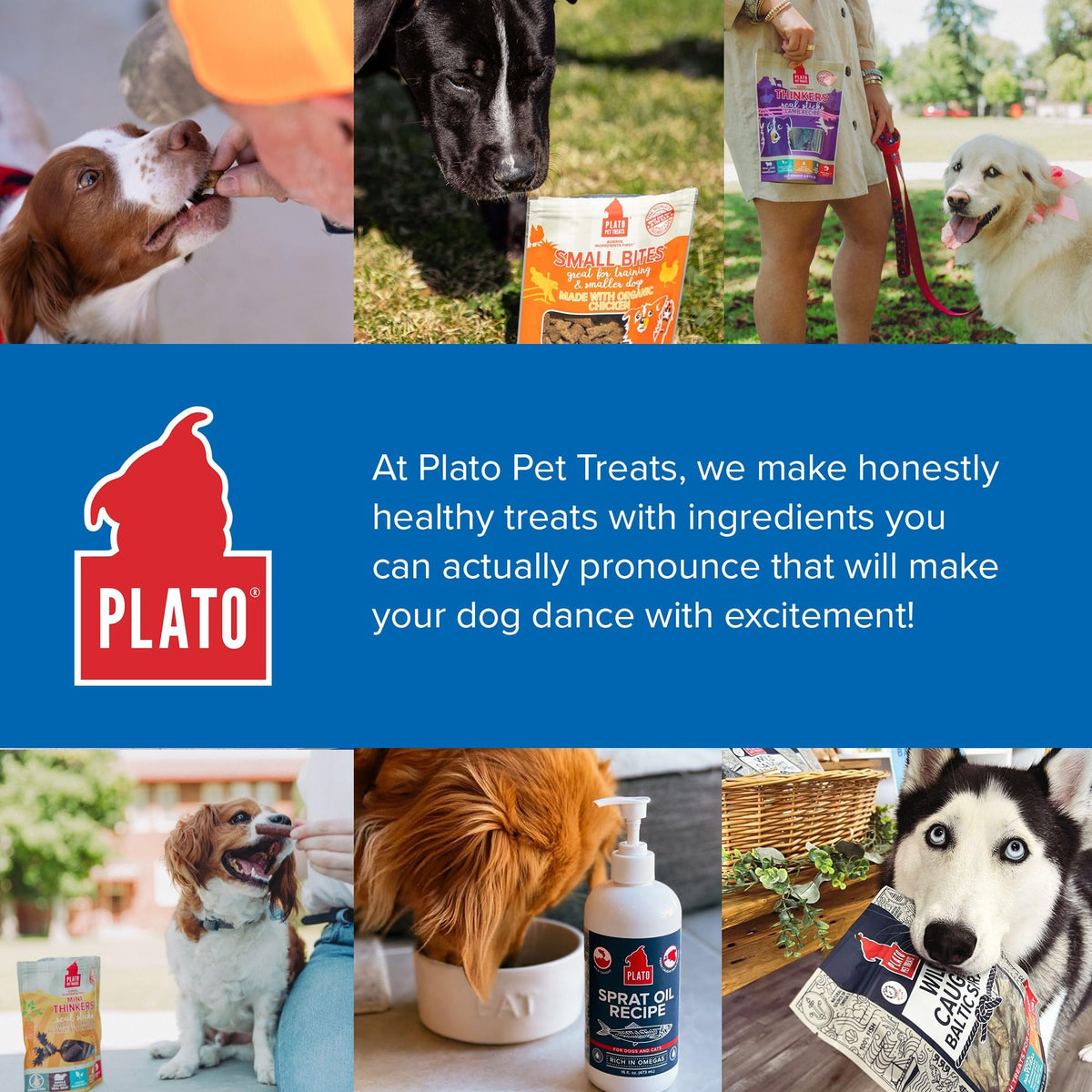 Plato Meat Sticks Salmon Dog Treats, Air-Dried High-Protein Soft Chews with Omega Fish Oil (EPA & DHA), 10 oz