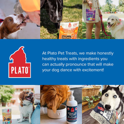 Plato Meat Sticks Salmon Dog Treats, Air-Dried High-Protein Soft Chews with Omega Fish Oil (EPA & DHA), 10 oz