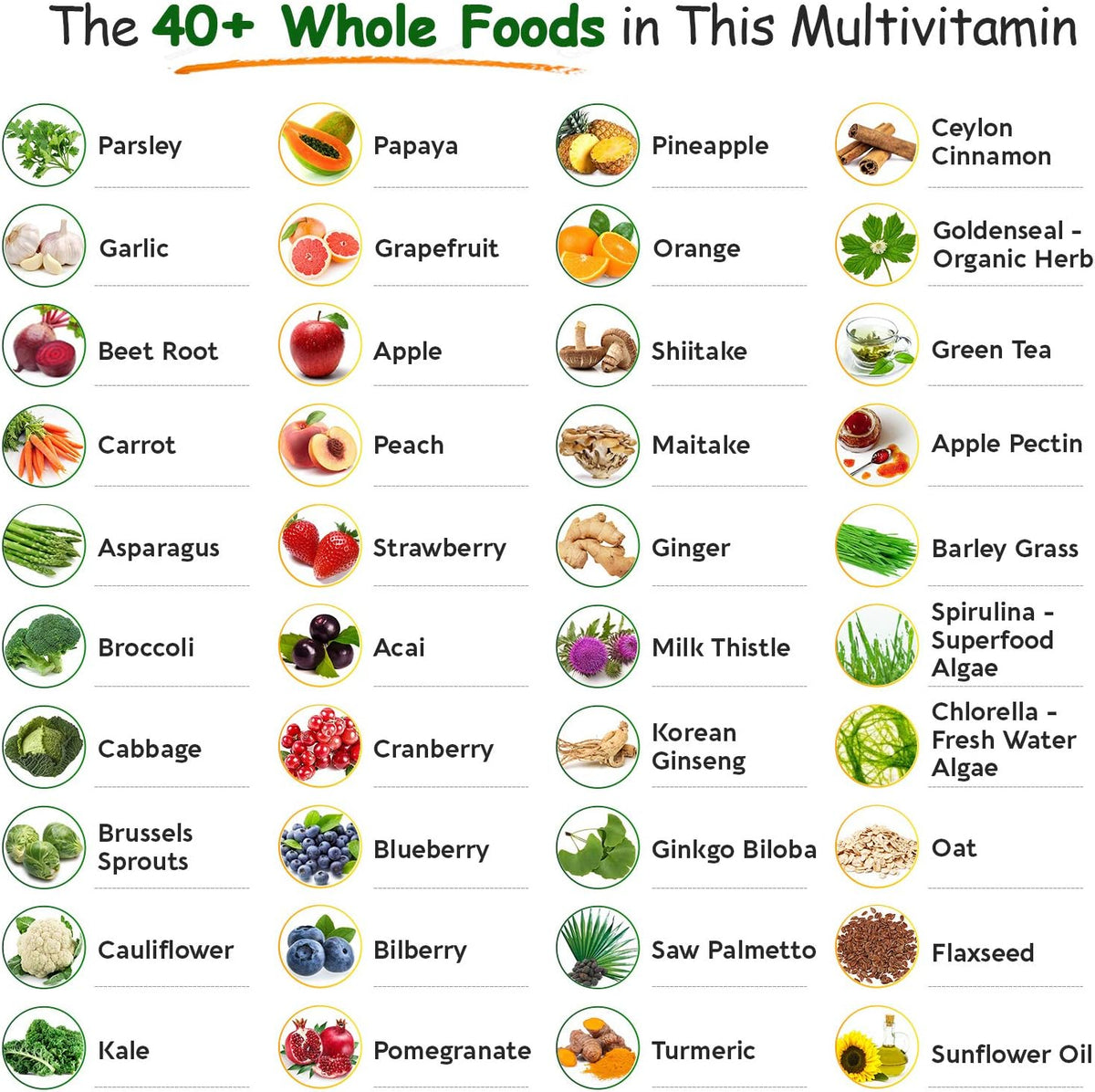 Wholesome Wellness Whole Food Multivitamin for Men - Natural Multi Vitamins, Minerals, Organic Extracts Digestive Enzymes 1000MG Plus Prebiotics & Probiotics Bundle