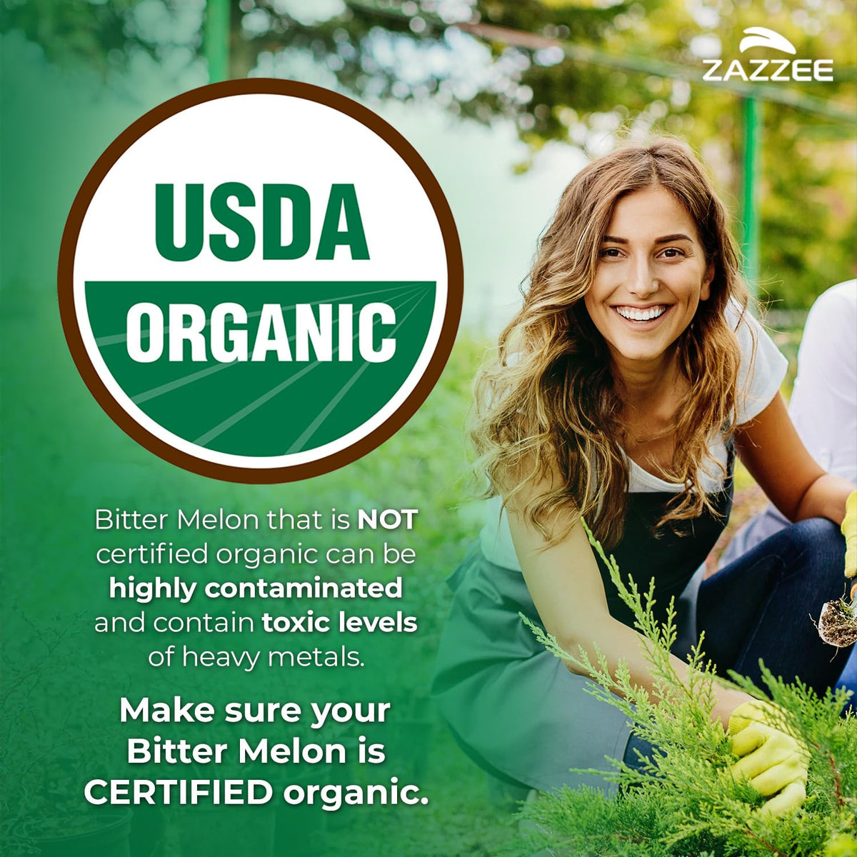 Zazzee USDA Organic Bitter Melon 25:1 Extract, 10% Bitter Principles, 150 Vegan Capsules, 5 Month Supply, Extra Strength, Momordica Charantia, Antioxidant & Metabolic Support, Non-GMO, Made in the USA