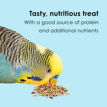 Kaytee Oat Groats Treat Jar for Pet Birds, 11 Ounces | More bird food variety. Crunchy bird treats. Easy to serve, protein source, parakeet treats