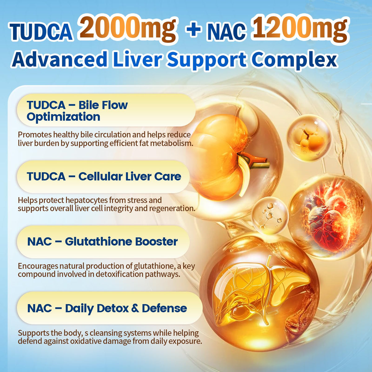 VivoNu TUDCA 675mg + NAC 375mg Supplement Complex Capsules, Powerful TUDCA Bile Salt + N Acetyl Cysteine, Antioxidant Supplements for Liver & Lung& Gallbladder Cleanse, Digestion - 180 Capsules