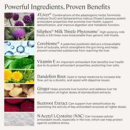 Stonehenge Health Dynamic Liver – Siliphos Milk Thistle Formula – Liver Support & Antioxidant Support, Gut-Liver Axis, Selenium, Zinc, Vitamin E, Ginger, Beetroot Extract, Non-GMO, 60 Veg Caps