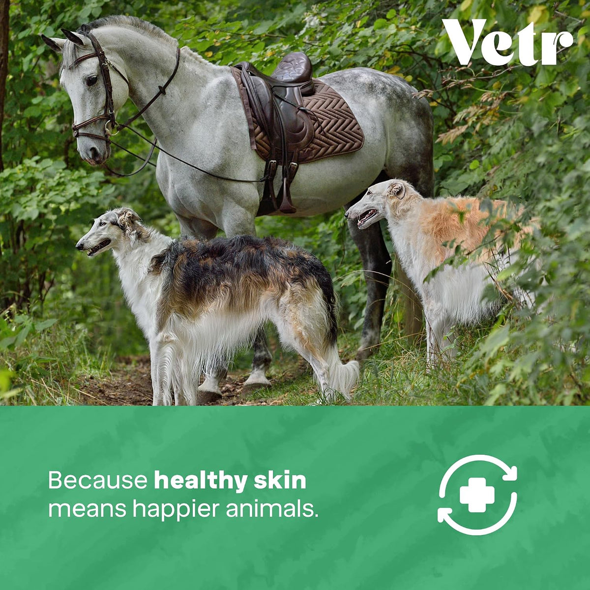 vetr Skin Relief Hydrocortisone Spray for Dogs - Topical Support for Itchy Skin and Hot Spots - 4 oz (120mL) - Vet-Formulated in USA