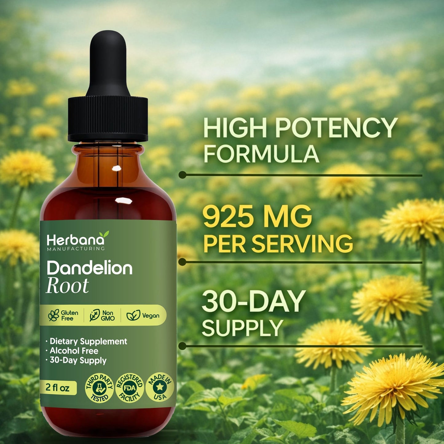 Dandelion Root 2 fl oz Liquid Extract - Natural Herbal Supplement for Cleansing, Digestive Function & Immunity - Organic Taraxacum officinale - Family Size