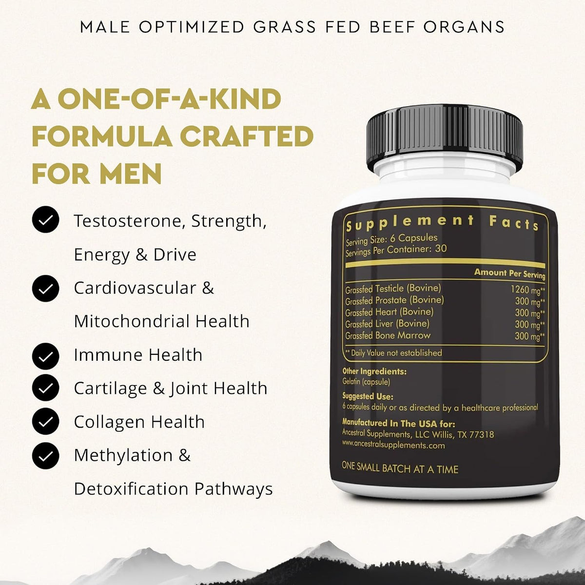 Ancestral Supplements MOFO & Chocolate Protein Bundle for Men – Supports Strength, Energy, Hormone Health & Recovery–Grass Fed Beef Organ Blend with 20g Protein, Gut Health Support & Organic Mushrooms