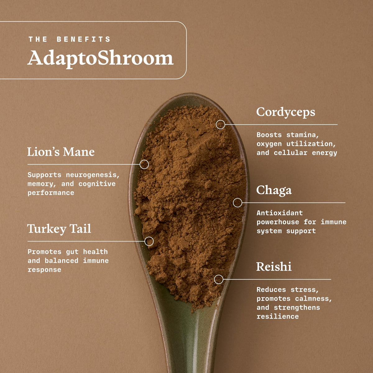 Ultra Life Sport - MushBoom Organic Mushroom Coffee Alternative Drink - 30 Servings 7 Mushroom Cacao Blend - Cordyceps, Lion’s Mane, Chaga, Maitake, Shiitake, Reishi & Turkey Tail - Caffeine Free