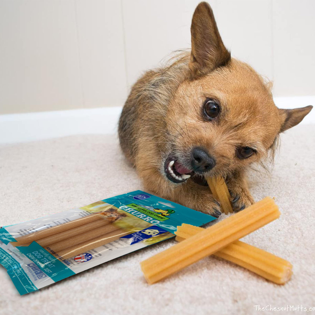 Himalayan Dog Chew Churro, Soft Yak Cheese Treat, Peanut Butter, 4 Sticks | 100% Natural, Soft Density Dental Support, Gluten Free, Healthy Safe Dog Treats for All Breeds and Ages, Lactose & Grain Free