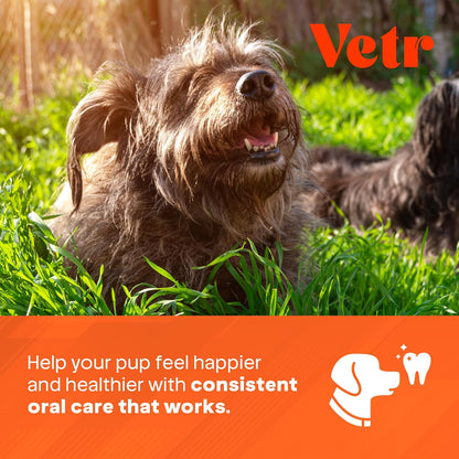 Vetr Dental Formula for Dogs - Peppermint Flavored Oral Care Liquid Additive with Enzymes for Breath and Teeth Support - Vet-Formulated in USA (16 oz)