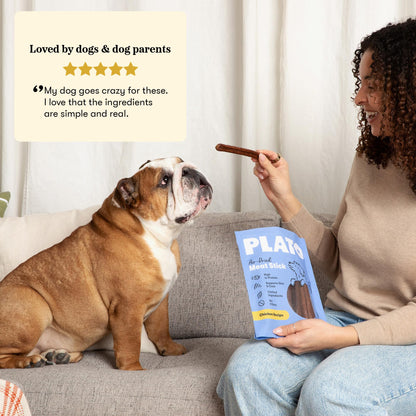 Plato Meat Sticks Salmon Dog Treats, Air-Dried High-Protein Soft Chews with Omega Fish Oil (EPA & DHA), 10 oz