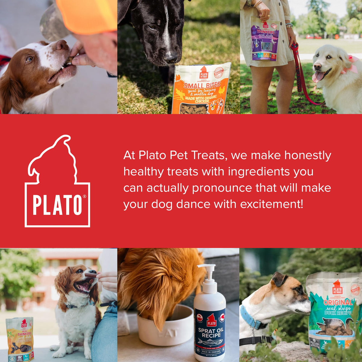 Plato Real Strips Salmon Recipe Dog Treats, Air-Dried High-Protein Soft Strips, Omega-Rich Skin & Coat Support, 18 oz