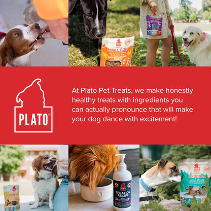 Plato Pet Treats Real Strips - Air-Dried Meat Bars for Dogs - Delicious, Limited Ingredient Dog Treats - Grain Free - Original Real Strips Turkey & Pumpkin 18oz - 2 Pack