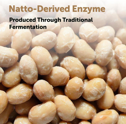 Micro Ingredients Nattokinase 10,000 FU Per Serving, 240 Veggie Capsules | Natural Natto Extract with CoQ10, Turmeric, Aged Garlic & Pine Bark Extract. Non-GMO, Gluten Free.
