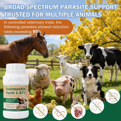Ivermectin Solution for Sheep, Poultry & More, 240ml Ivermectin | Gut Health, Promotes Immune & Digestive Support