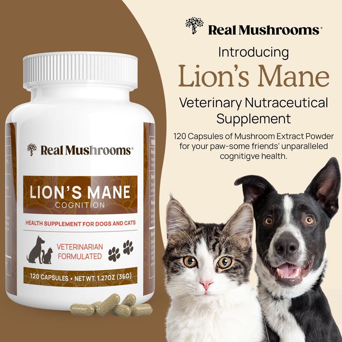 Real Mushrooms Lion’s Mane Pet Mushroom Supplement – Pet Wellbeing Capsules – for Cat & Dog Supplement & Vitamins – Support Mindful Routines – Organic, Vegan, Non-GMO, 120 Count