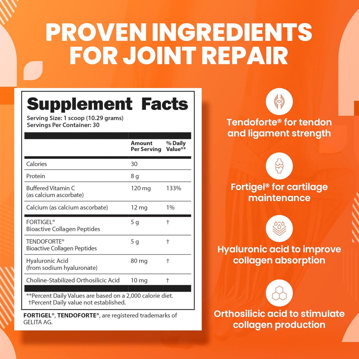 SaltWrap Joint & Muscle Recovery Bundle, Daytime - Collagen & Mag 3D | Made in USA, NSF Certified for Sport, Pairs Fortigel & Tendoforte Peptides with Quercetin, Fisetin and Senactiv Complex