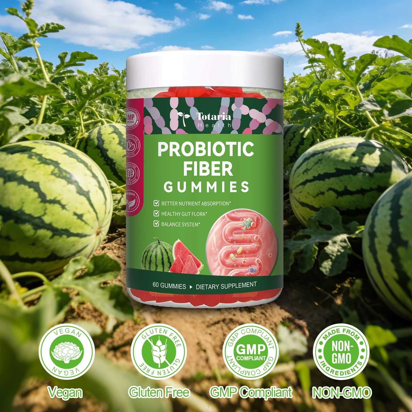 9-in-1 Probiotic Prebiotic Fiber Gummies for Adults & Teens, Sugar-free Fiber Supplement with Psyllium Husk, FOS, Inulin, ACV & 5 Billion CFU Bacillus Coagulans - dailyvitalstore