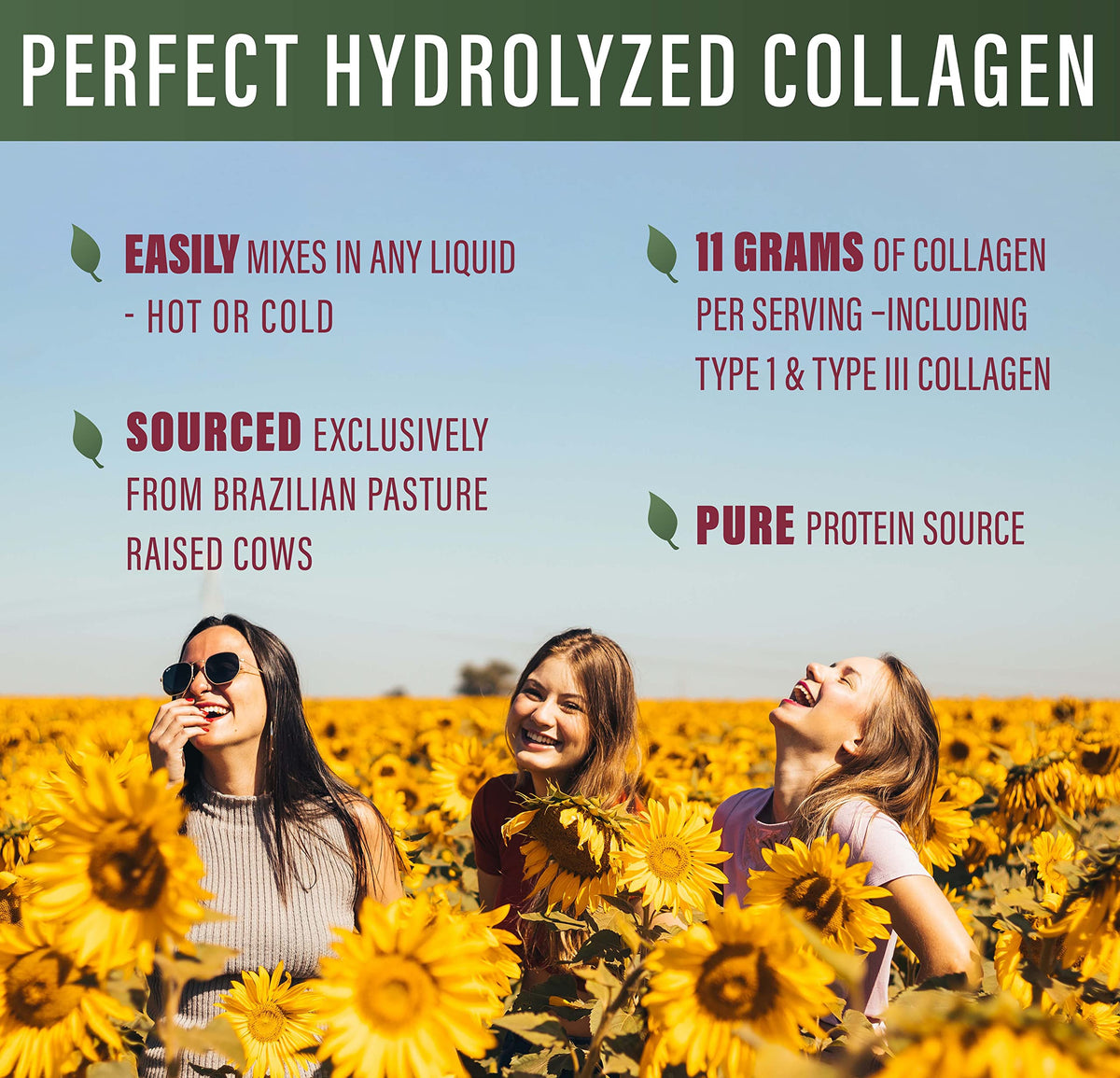 Perfect Supplements – Perfect Hydrolyzed Collagen Powder – 660 Grams – All Natural Collagen - Brazilian Pasture Raised – Promotes Healthy Skin