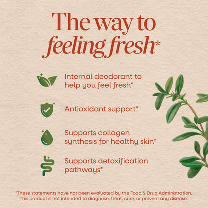 Nature's Way Chlorofresh Liquid Chlorophyll, Chlorophyllin Copper Complex, Internal Deodorant Supplement, Supports Healthy
