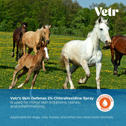 vetr Skin Relief Hydrocortisone Spray for Dogs - Topical Support for Itchy Skin and Hot Spots - 4 oz (120mL) - Vet-Formulated in USA