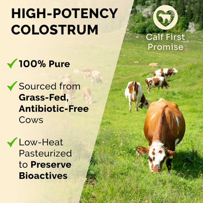 Premium Colostrum Supplement Highest IgG for Gut Health, Immune Support & Recovery Superfood, Anti-Age - Pure Grass-Fed Bovine Colostrum Powder