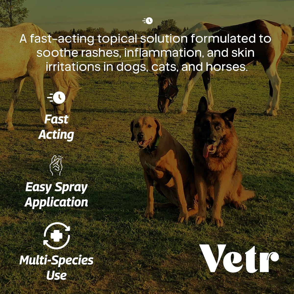 vetr Skin Relief Hydrocortisone Spray for Dogs - Topical Support for Itchy Skin and Hot Spots - 4 oz (120mL) - Vet-Formulated in USA