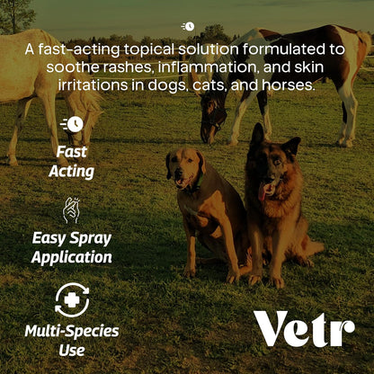 vetr Skin Relief Hydrocortisone Spray for Dogs - Topical Support for Itchy Skin and Hot Spots - 4 oz (120mL) - Vet-Formulated in USA