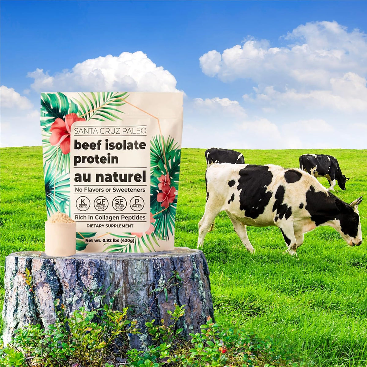 Santa Cruz Paleo, Beef Isolate Protein Powder, Au Naturel, Rich in Collagen Peptides for Protein Shakes or Smoothies, Gluten Free, Keto, Paleo, Unflavored, Unsweetened,1.1lbs (20g Protein Per Serving)
