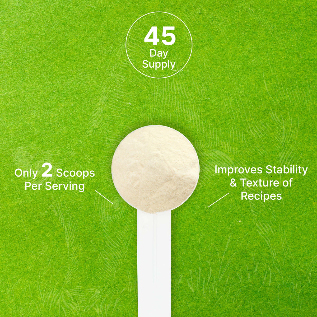 Unflavored Beef Gelatin Powder, 1lb – Grass Fed & Pasture Raised Bovine – Natural Thickener & Stabilizer for Cooking & Baking – High Collagen Protein Source – Non-GMO, Keto Friendly