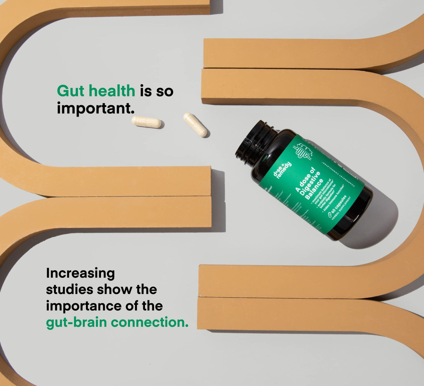 A dose of Digestive Balance-Gut Health Supplement-USDA-Kombucha, 7 Probiotic Strains and Prebiotics for Microbiome-Digestive Enzymes for Digestion - dailyvitalstore